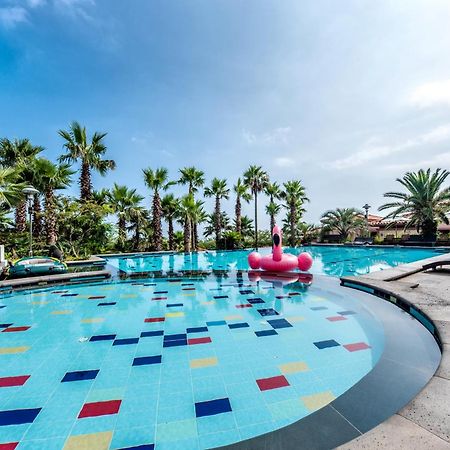 Palm Valley Resort Seogwipo Extérieur photo